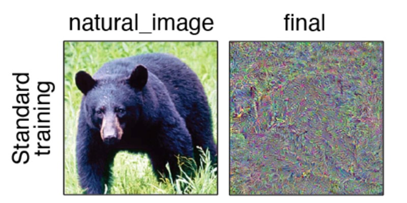 neural networks reactions