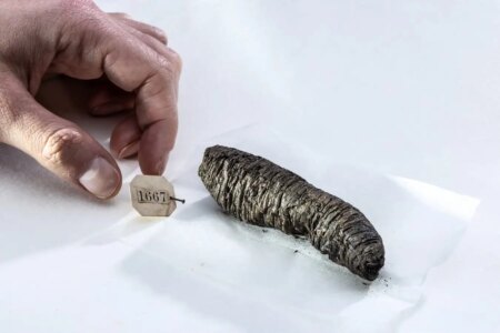 Ancient Philosophers’ Lost Writings Rediscovered from Unreadable Scrolls