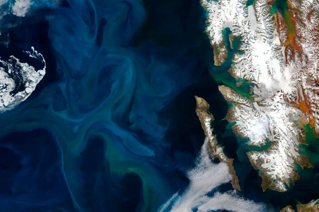Arctic Ocean at Tipping Point: Impending Disasters for Marine Life
