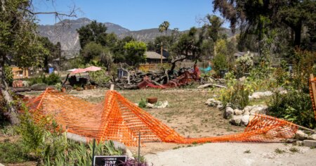 Impact of Los Angeles Area Fires: How Pollution is Driving Residents Away from Their Homes