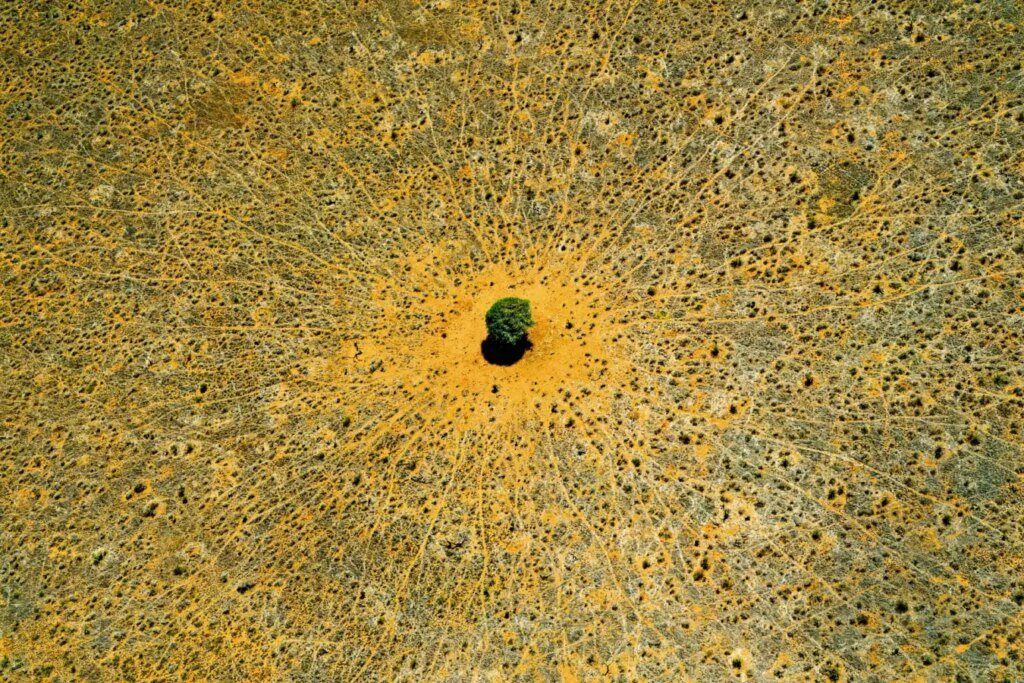 Discover Stunning Freshwater Images from the Creator of Earth from Above