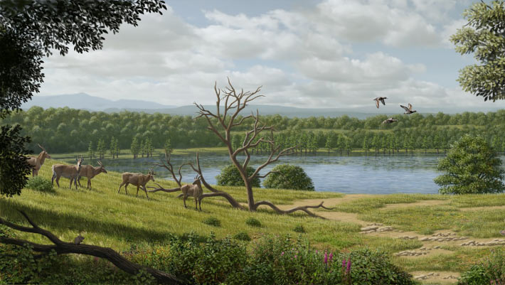 Discover the Giant Cow Relatives That Roamed Europe 4 Million Years Ago