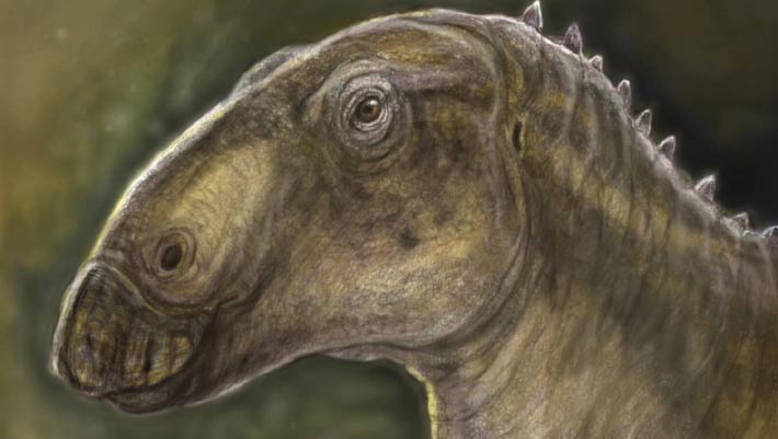 Exciting Discovery: New Duck-Billed Dinosaur Species Unearthed in Romania