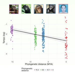 Groundbreaking Study Uncovers the Origins of Human Laughter