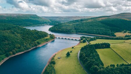 How Land Plants Transform River Ecosystems – Cyworthy