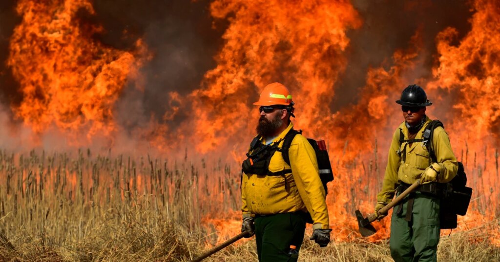 Major Policy Shift: Federal Firefighters to Be Encouraged to Wear N95 Masks for Enhanced Safety