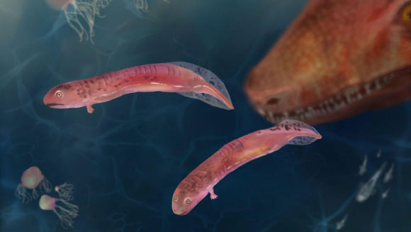 New Insights: Earth’s First Land Animals Were Likely Not Like Amphibians