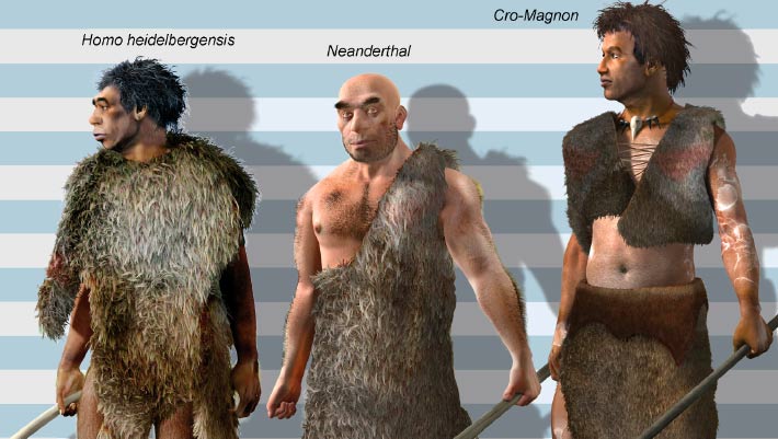 New Research Challenges Long-Standing Beliefs About Human Ancestors’ Growth Trends