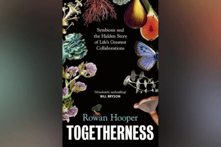 New Scientist Highlights Rowan Hooper’s ‘Oneness’: A Revolutionary Perspective on Life