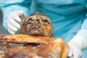 Ötzi’s Frozen Remains: Potential Home to Active Microorganisms