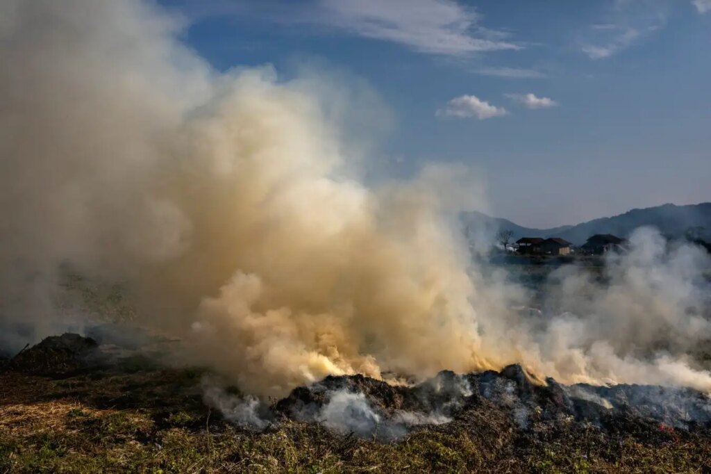 Overlooked Pollutants Account for 15% of Global Warming: What You Need to Know