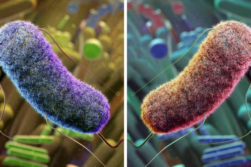 Scientists Debate Risks of Lab-Engineered Bacteria: A Look into Mirror Life