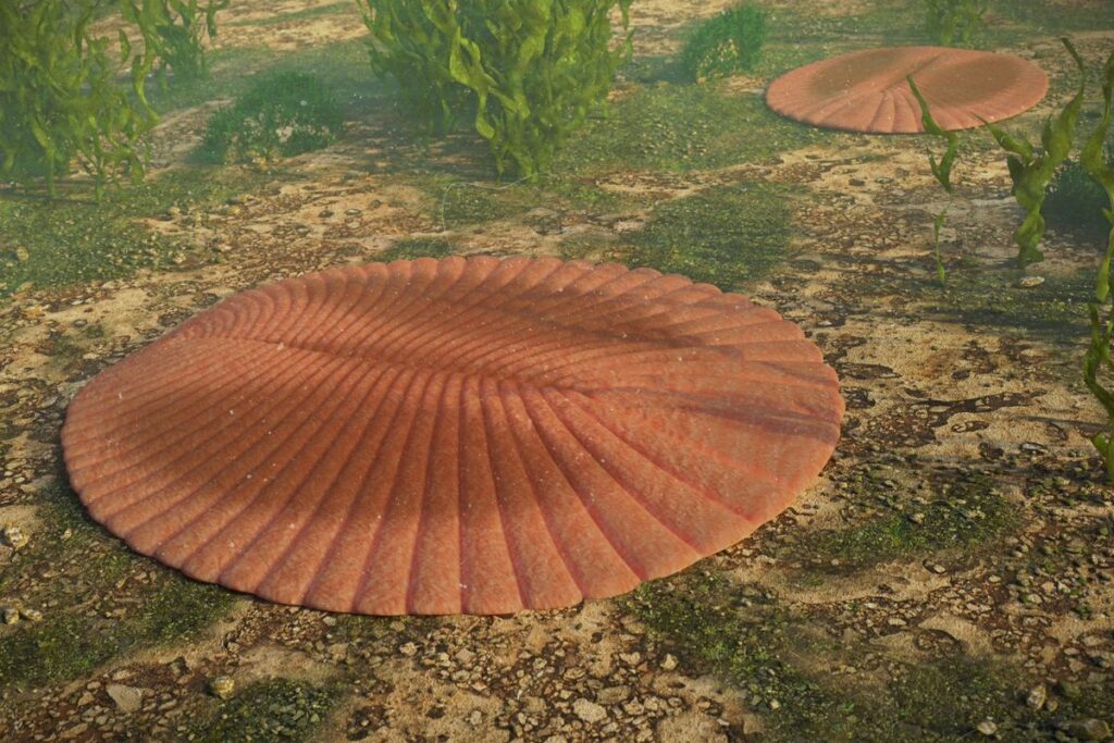 Scientists Reveal: Earth’s Early Reproduction Was Far From Ideal