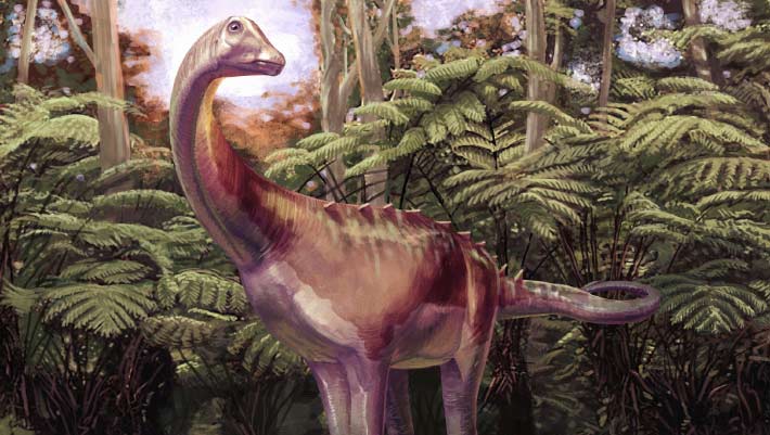 83-Million-Year-Old Fossil Redefines Discovery Timeline of Antarctica’s First Dinosaur