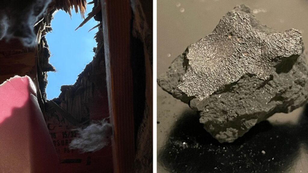 Ancient Protoplanet Meteorite ‘Fireball’ Found in New Jersey Home Holds Key Components of Life