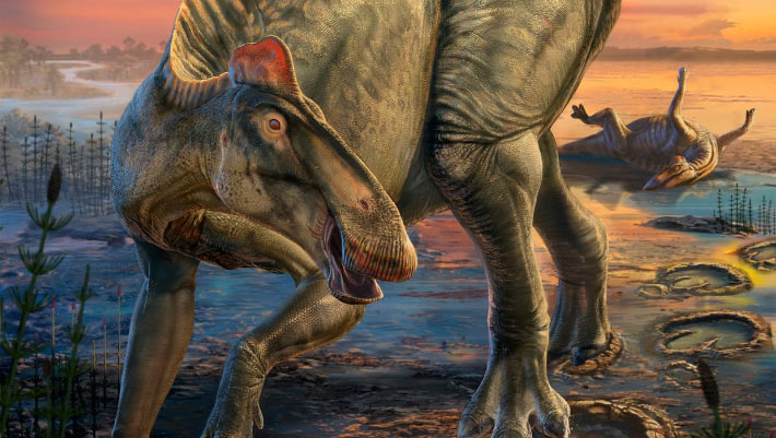Ancient Wyoming: Tyrannosaurus Rex Scavenges Platypus Dinosaur – Bite Marks Uncovered