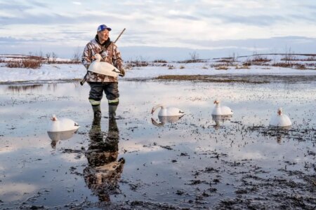 Award-Winning Evocative Photography of the Canadian Arctic Takes New Science Editor Award