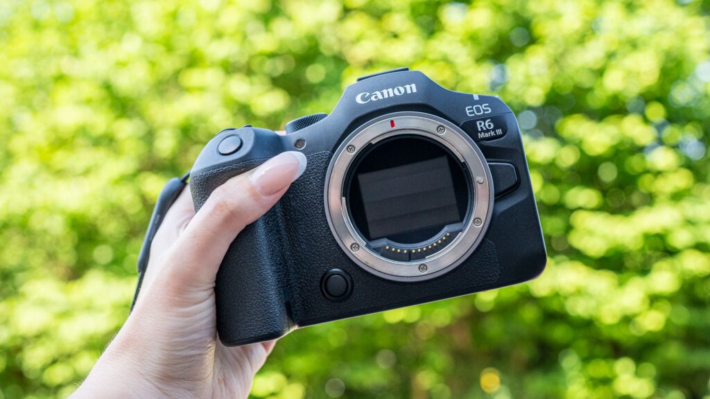 Canon EOS R6 III Review: Unleashing Wildlife Photography Potential