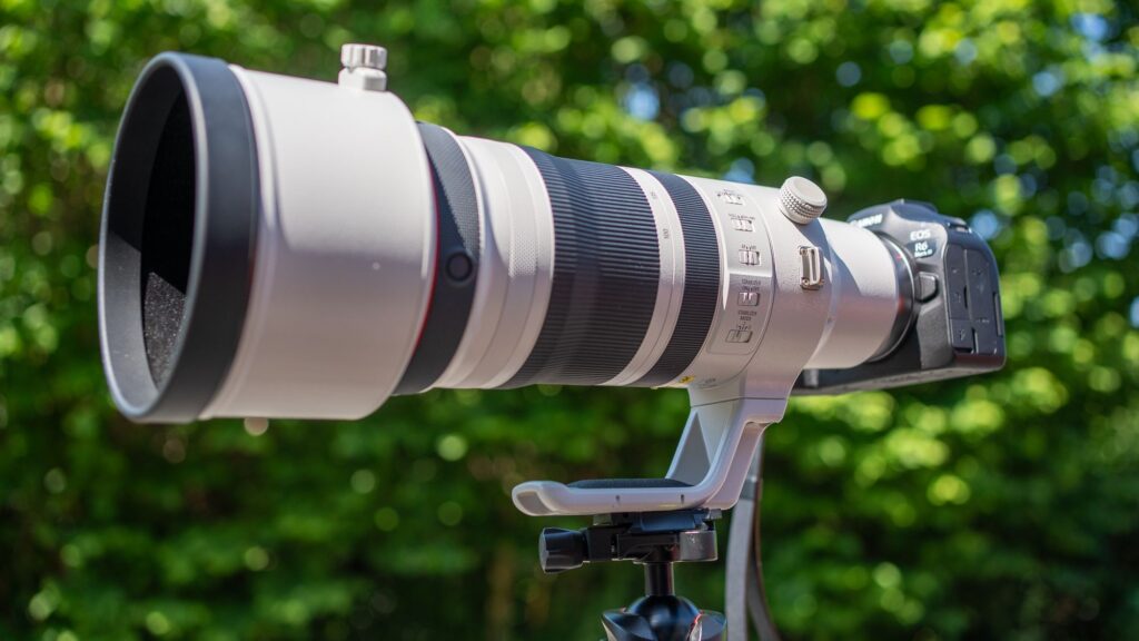 Canon’s $10,000 Wildlife Zoom: Is It a Worthy Alternative to a Single Vision Lens?