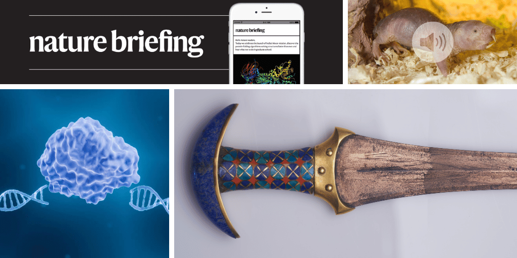 Daily Briefing: Enhancing CRISPR with AI-Driven Design Innovations