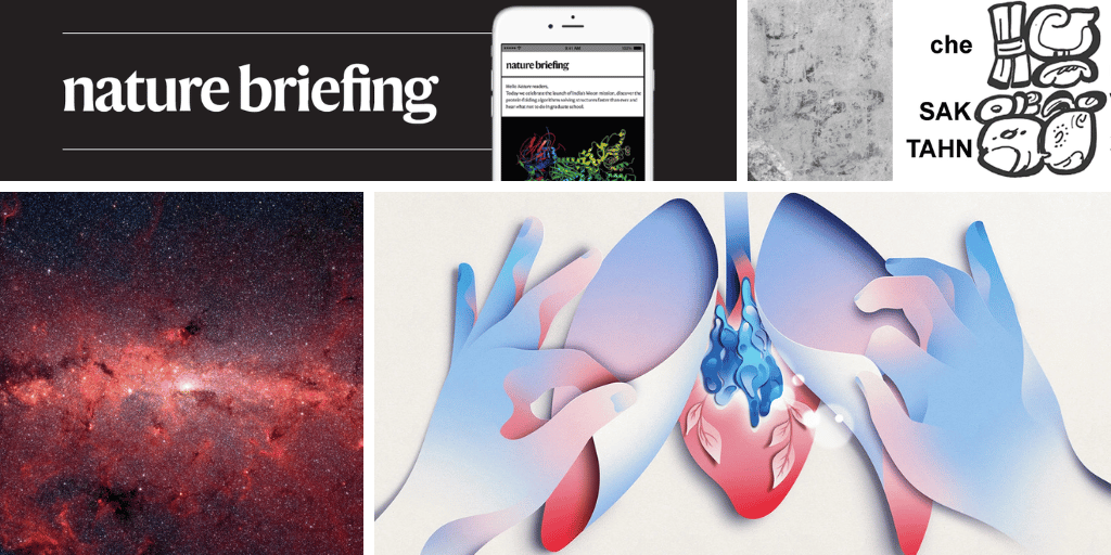Daily Insights: How Thymus Regeneration May Help Slow Aging