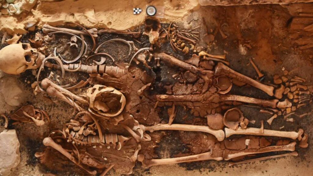 Discover 18 Ancient Egyptian Tombs with Gold ‘Tongues’ Unearthed on Mediterranean Coast