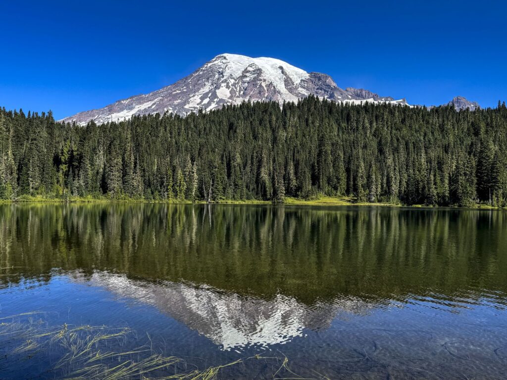 Discovering Mount Rainier’s Volcanic History: Scientists Uncover Exact Date of Rock and Mud Eruption