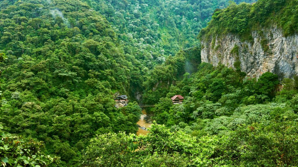 El Niño Impact: Tropical Forests Halt Carbon Dioxide Absorption – 2023 Faces Record Levels