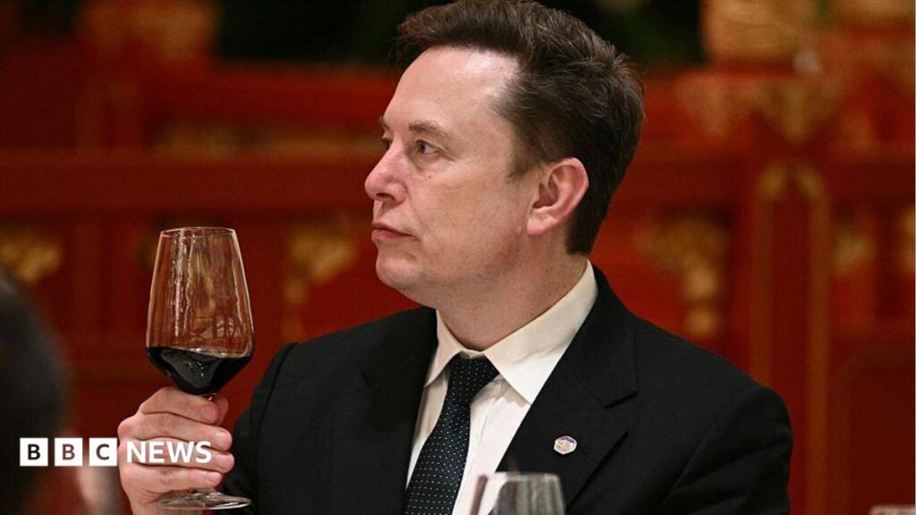 Elon Musk: Navigating AI Risks While Encouraging Innovation – ‘Enjoy the Ride’