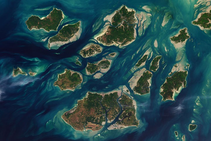 Exploring Guinea-Bissau’s Rich Tidal Biodiversity: A Hidden Ecological Treasure