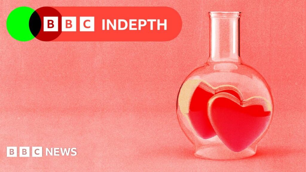 Finding Your Perfect Match: The Science Behind Soulmates and Compatibility