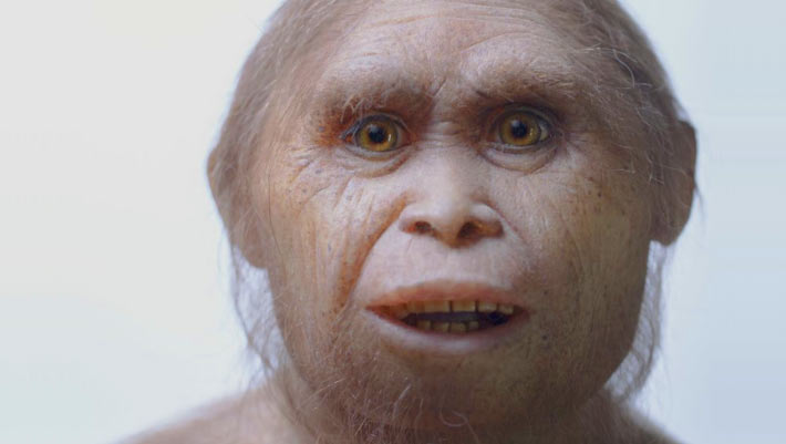 Homo Floresiensis: Evidence Suggests No Hunting of Stegodonts or Use of Fire