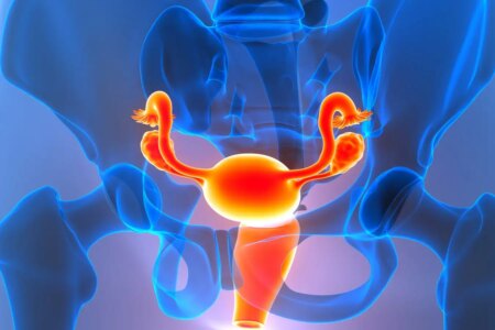 How Menopause-Induced Changes in Ovarian Identity Contribute to Inflammation