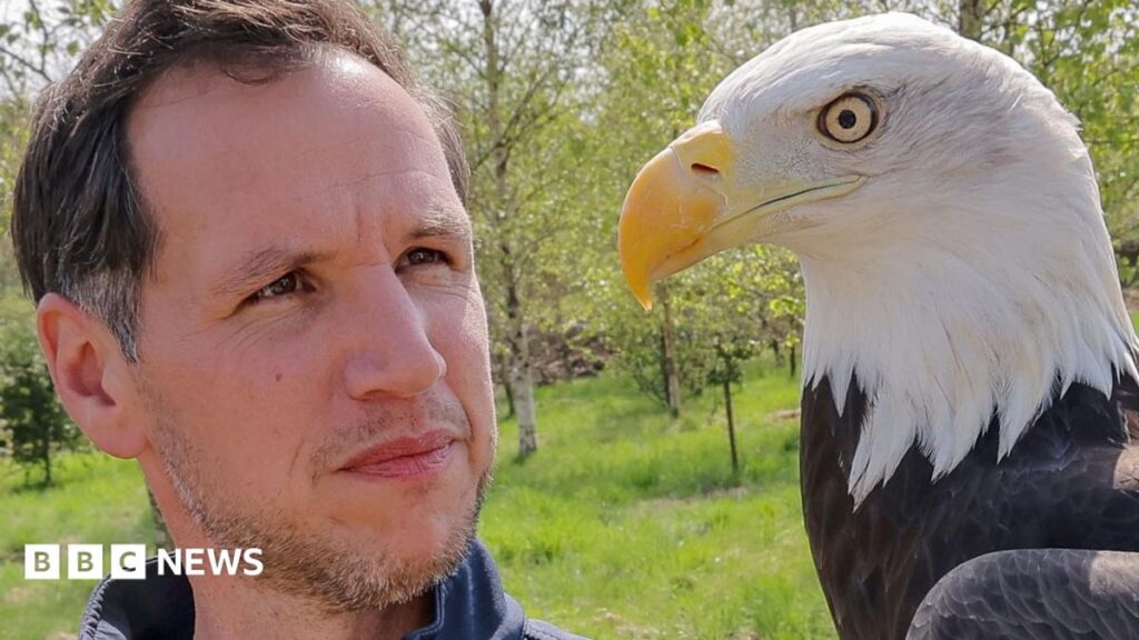 How the Kynren Bird Show Supports Endangered Species Conservation