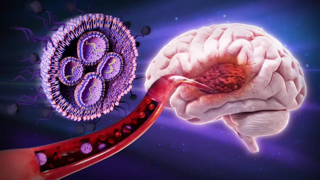 New Sugar-Coating Therapy Boosts Mice Survival Rates Against Deadly Brain Tumors by 50%