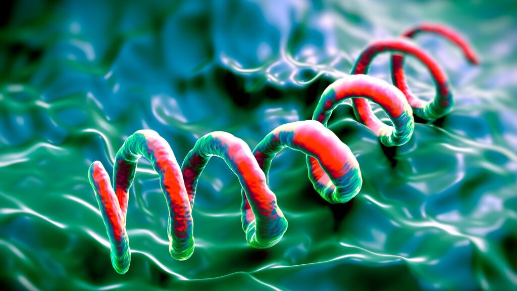 Rare Syphilis Diagnosis in an 83-Year-Old Man: Unraveling the Mystery of Severe Itchy Skin