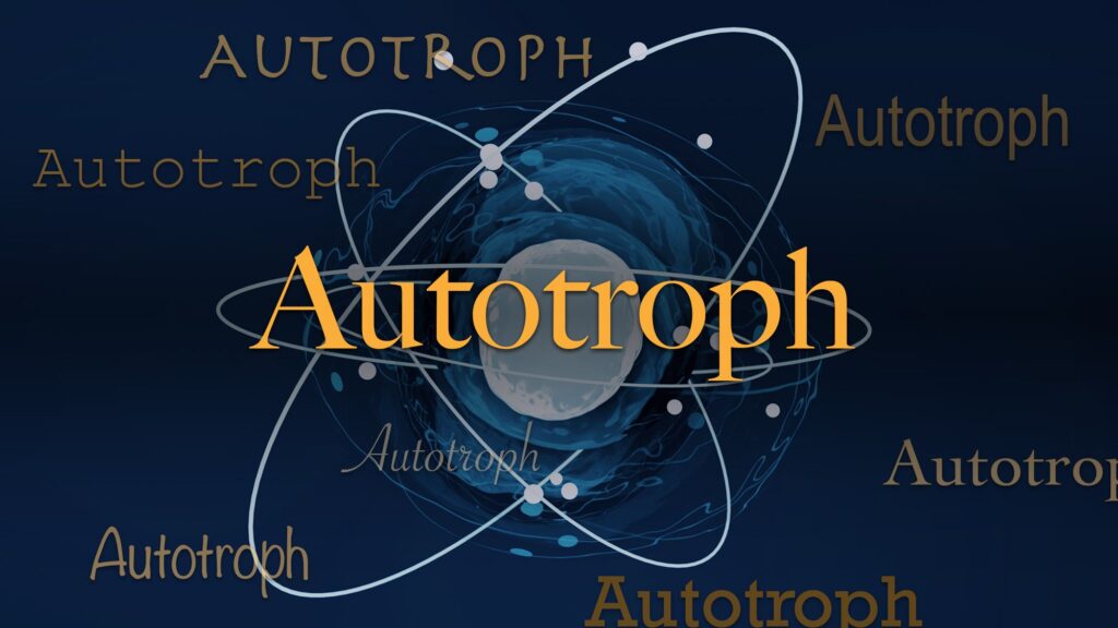 Science Word of the Day: Understanding Autotrophs and Their Role in Ecosystems