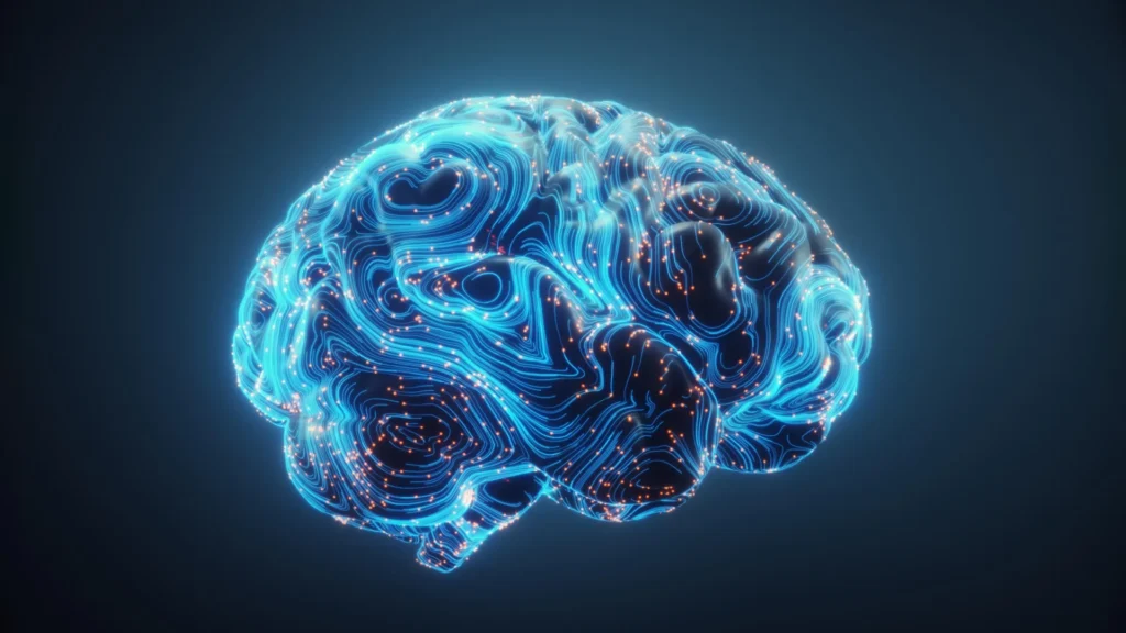 Scientists Uncover How the Brain Rewires for Effective Multitasking