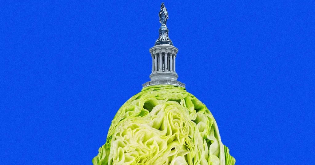 Taylor Farms Invests Millions in MAGA and Anti-Regulatory Lobbying Amid Diarrhea Outbreak
