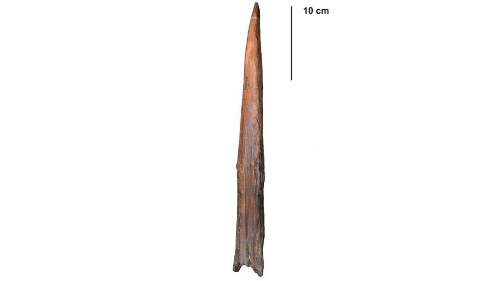 The World’s Oldest Weapon: A Comprehensive Exploration of Ancient Arms