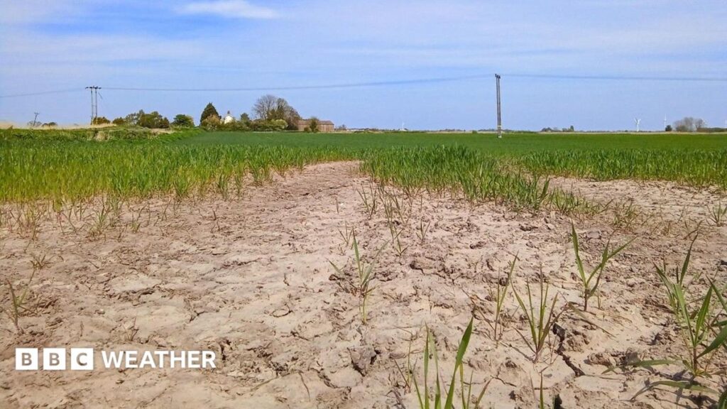 UK Drought Warnings: Is the Second Consecutive Summer Drying Up?