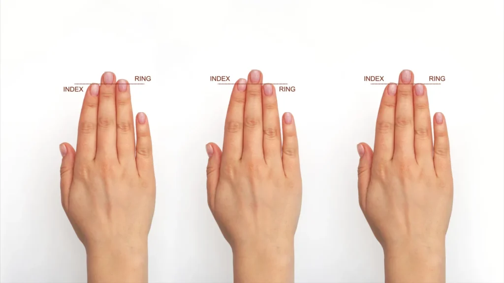 Unlocking the Secret to Human Brain Evolution: The Surprising Role of Your Fingers