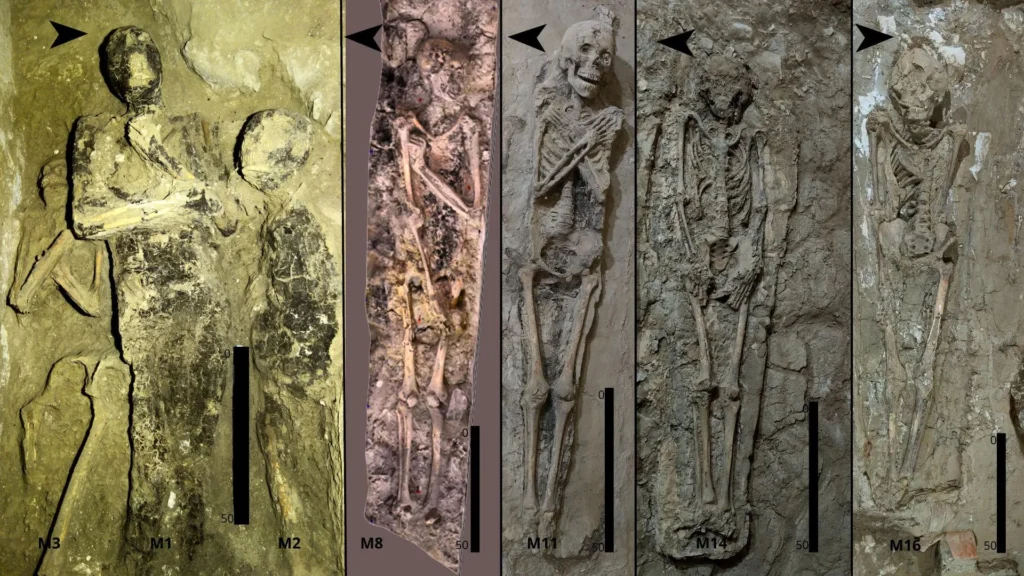 16 Mummies and a Dog Reveal a Hidden Order in Ancient Egyptian Tombs