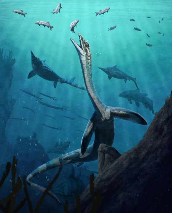 244-Million-Year-Old Fossil Reveals the Earliest Known Reptilian Digestive System