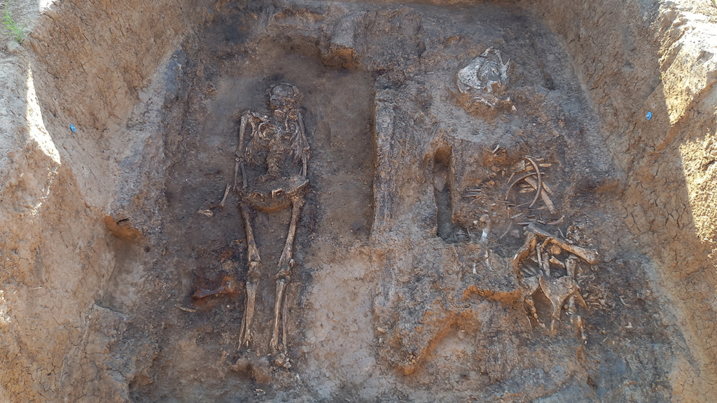 Archaeologists Discover Medieval Nobleman Buried With Horse and Dog in Rare Wooden Tomb in Russia
