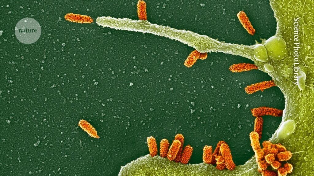 Are mRNA Influenza Vaccines More Effective Than Seasonal Flu Vaccines? What the Science Says