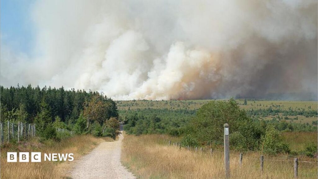 Belgian Firefighters Battle Devastating Fire in Nature Reserve