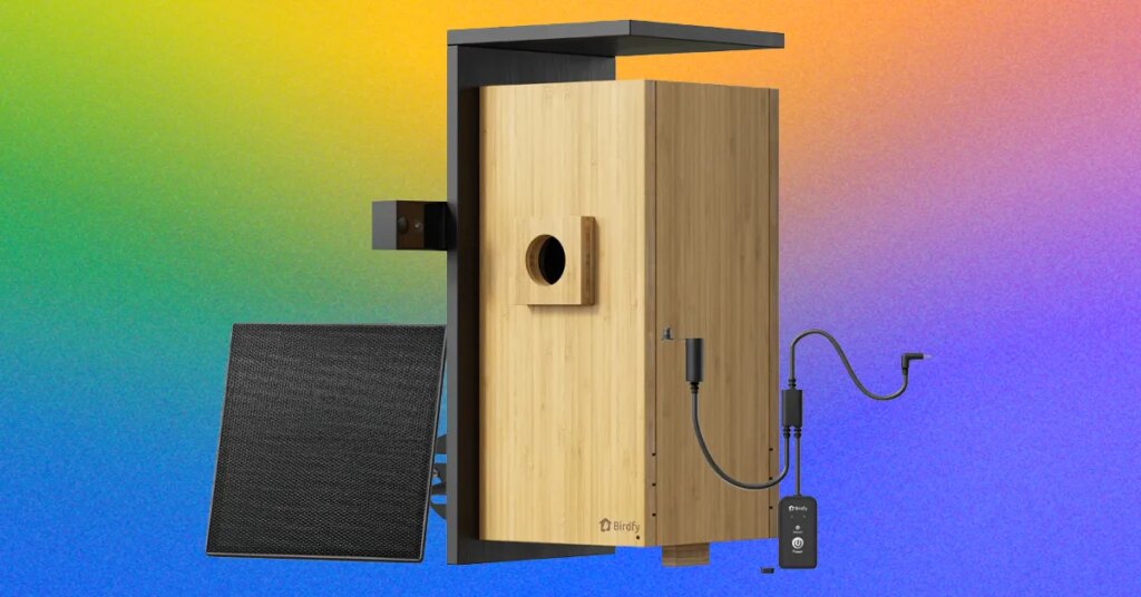 Birdfy Nest Duo Review: Features, Video Quality, and Birdwatching Experience