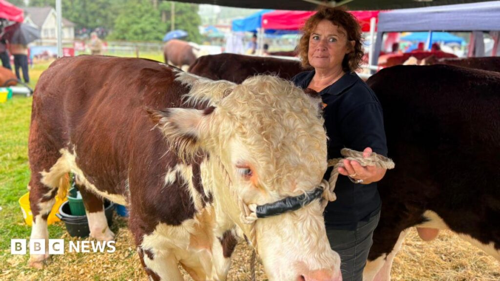 Bovine TB in Cattle Farming: Farmers Describe the Devastating Loss
