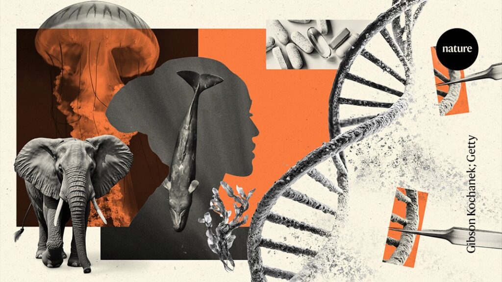 Can Repairing Damaged DNA Help Extend Lifespan?